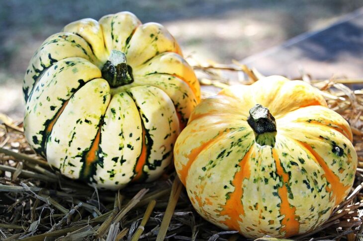 Новини культури - Гороскоп для всіх знаків зодіаку на 29 жовтня 2025 року