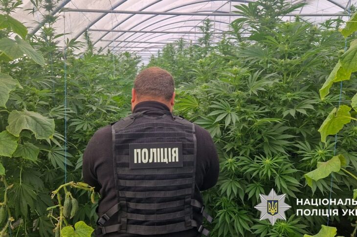 Новини України - На Дніпропетровщині викрили наркоаграріїв