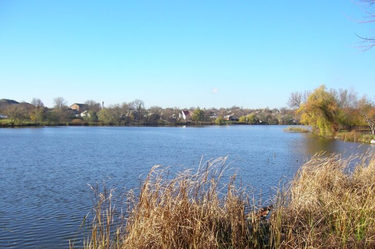 Новини України - На Гайсинщині зафіксували масовий мор риби