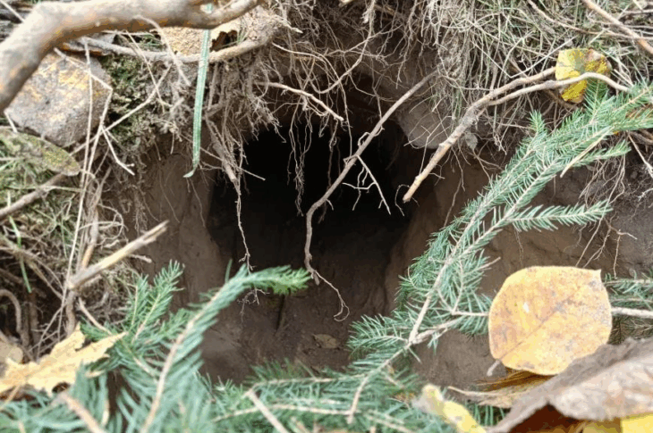 Новини світу - На кордоні між Польщею та Білоруссю виявили тунель