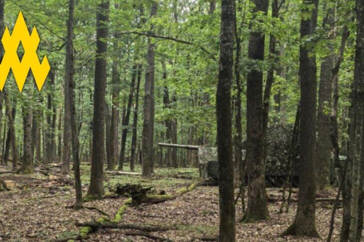 Новини України - Партизани допомогли зірвати наступ РФ під Вовчанськом