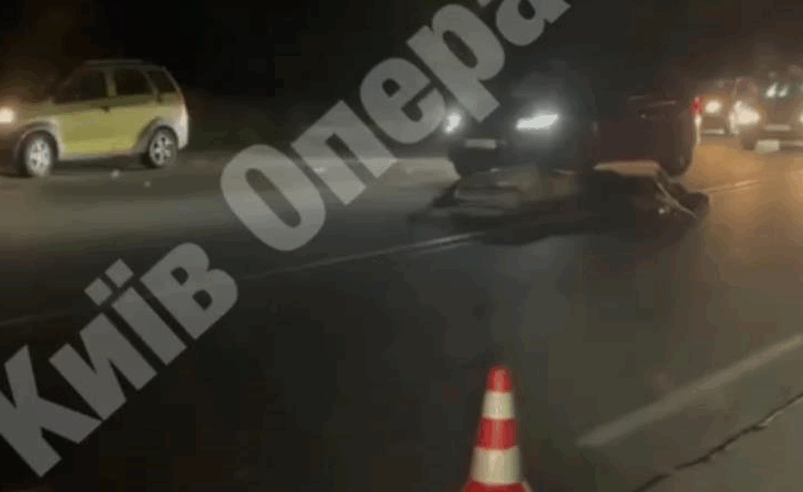 Новини Києва - Під Києвом авто збило лося
