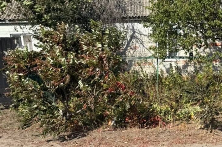 Новини України - Росіяни вбили жительку Харківщини