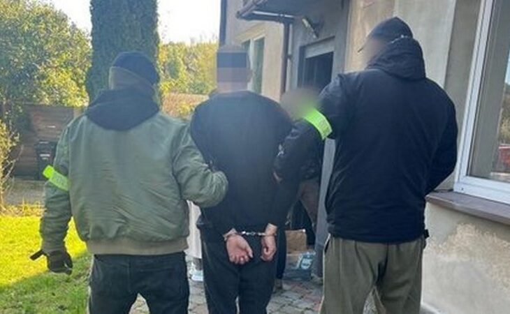 Новини світу - У Польщі затримали палія автівок з українськими номерами