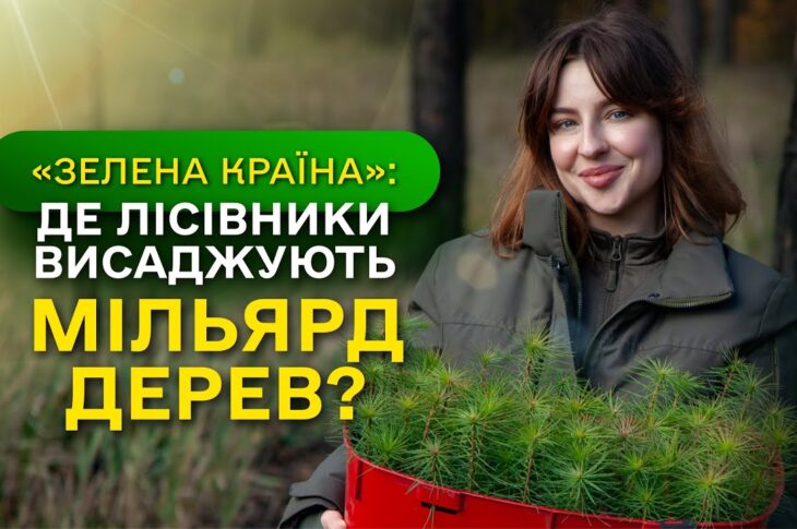 Замість уламків РАКЕТ - молодий ЛІС / ДП "Ліси України" завершує програму Президента ЗЕЛЕНА КРАЇНА