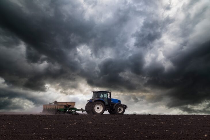 Новини бізнесу - Українські аграрії засіяли 74% озимих культур