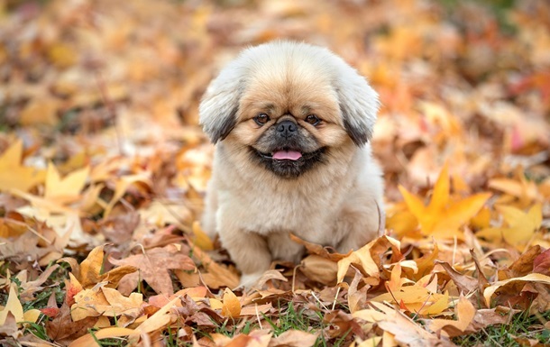 Новини України - В Україну йде потепління