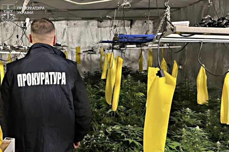 Новини України - Вирощування коноплі у підвалі будинку: викрито групу наркоділків