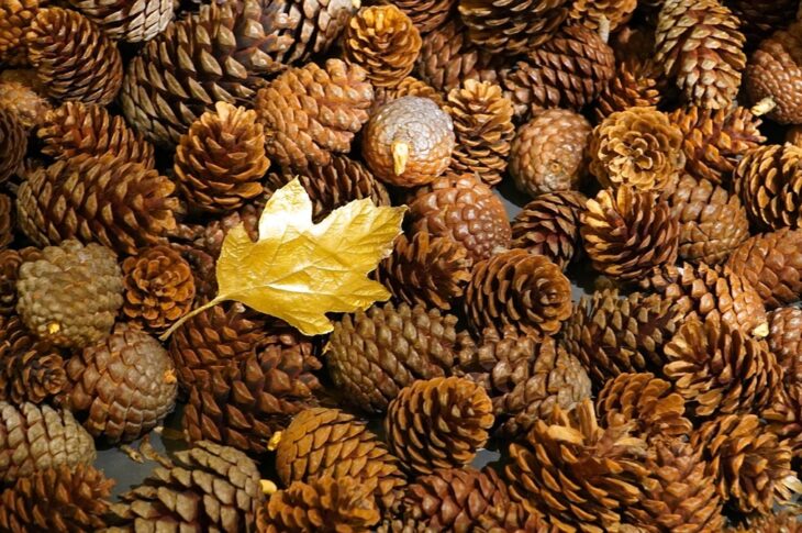 Новини культури - Гороскоп для всіх знаків зодіаку на вихідні 22-23 листопада 2025 року