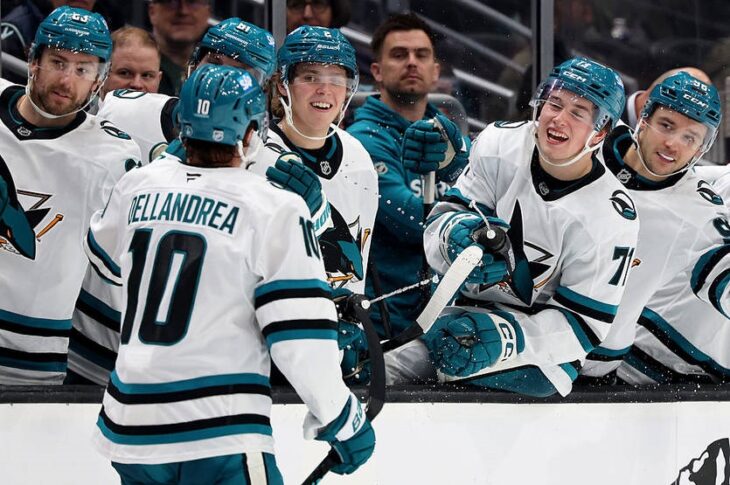 Новини спорту - НХЛ: Юта не змогла впоратися з Торонто