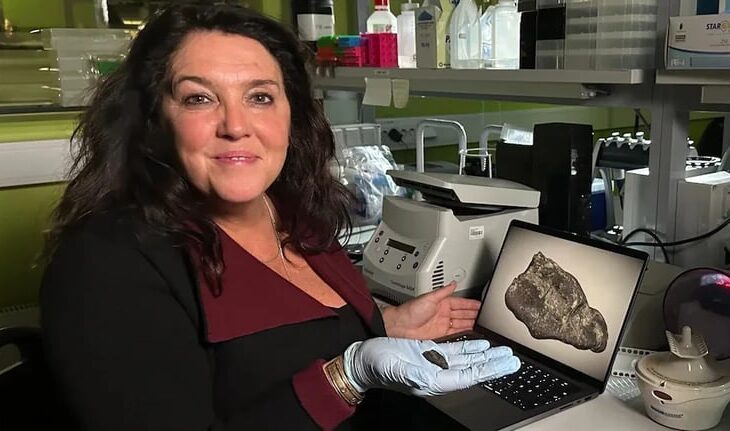 Технології - В Естонії знайшли смолу, яку жувала дівчина кам’яної доби