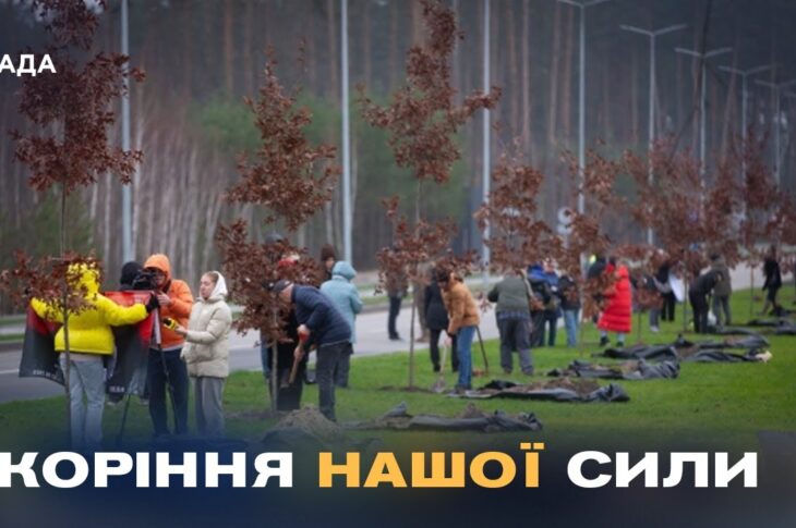 Кожен дуб – історія життя та подвигу полеглого воїна