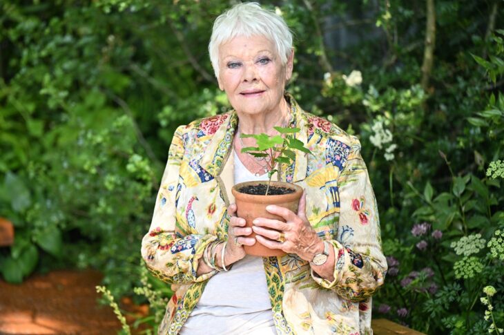 Новини культури - Джуді Денч зізналася, що майже втратила зір через прогресуючу хворобу