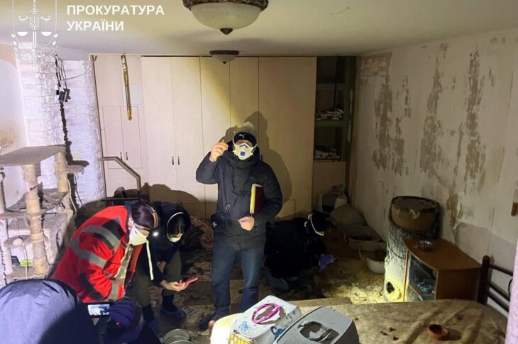 Новини України - На Київщині розслідують загибель понад 50 котів