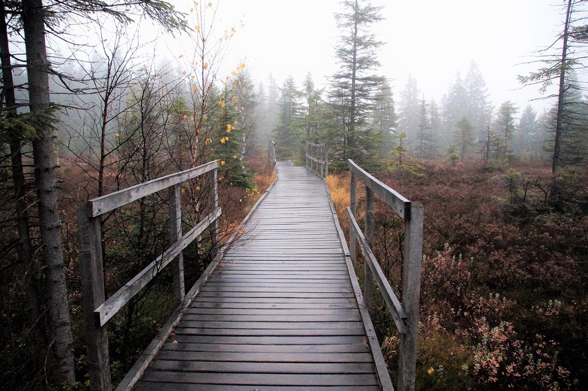 Новини України - Синоптики розповіли, якою буде погода в Україні на вихідних