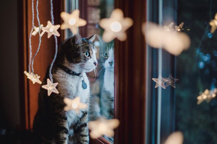 Новини України - Синоптики спрогнозували, якою буде погода в неділю