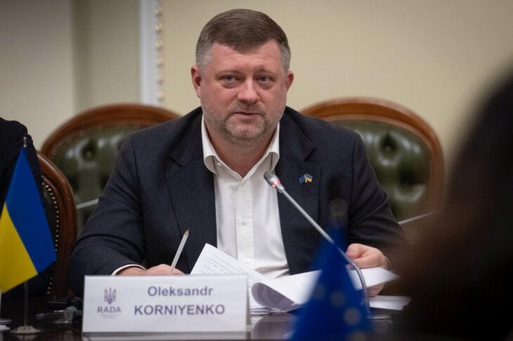 Новини України - Слуга народу обрала нового лідера партії