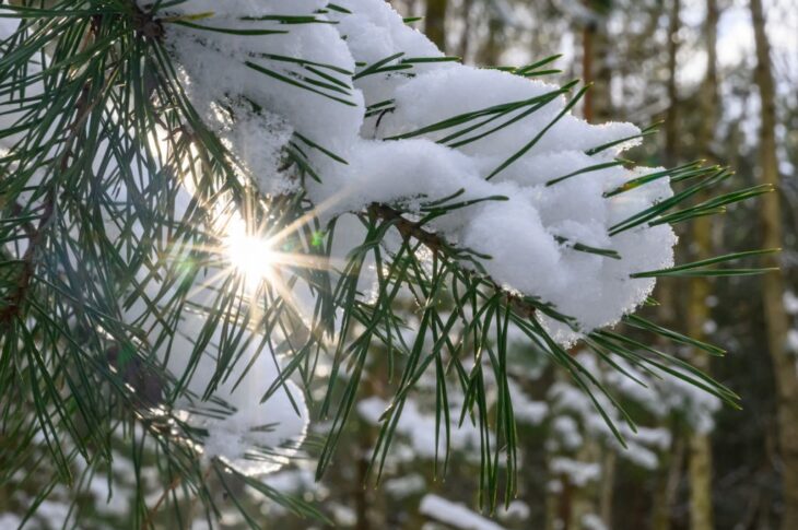 Новини України - Сніг та нічні морози: якої погоди слід очікувати на вихідних