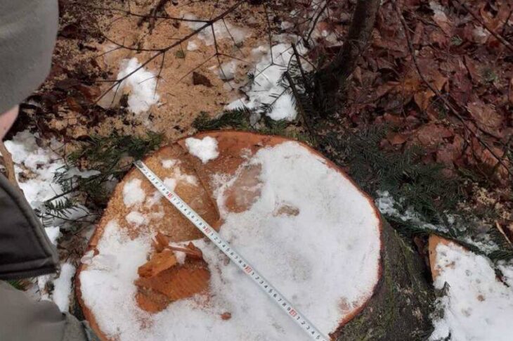 Новини України - Суд розгляне справу ексочільника ДСНС, який "розчистив" заказник на 7 млн