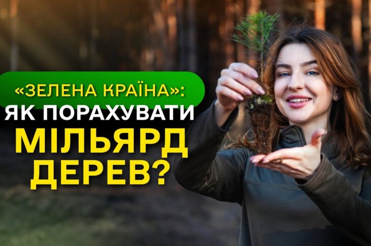 МІЛЬЯРД ДЕРЕВ зʼявився в Україні / як ДП "Ліси України" реалізували програму ЗЕЛЕНА КРАЇНА?