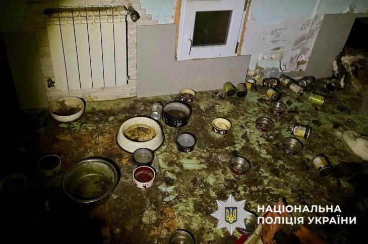Новини України - Загибель понад 50 котів на Київщині: стали відомі нові деталі