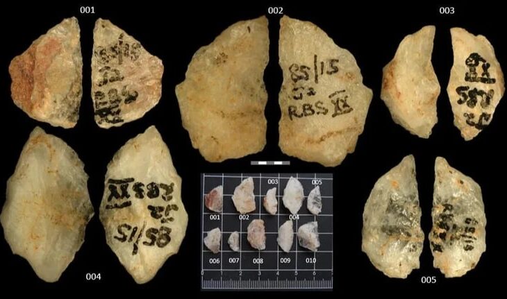 Технології - Археологи знайшли найдавнішу отруйну зброю людства віком 60 тис років