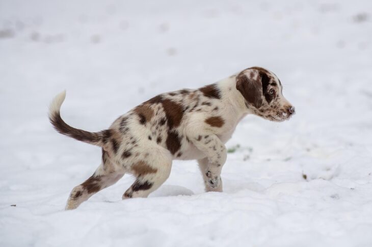 Новини культури - Гороскоп для всіх знаків зодіаку на 14 січня 2026 року