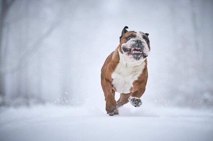 Новини культури - Гороскоп для всіх знаків зодіаку на 15 січня 2026 року
