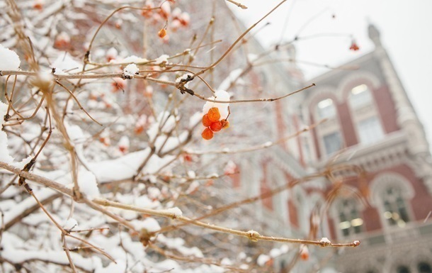 Новини бізнесу - Нацбанк продав рекордну кількість доларів за рік